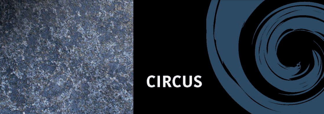 CIRCUS 馬戲團-柔金/深沉金/銀/古銅 2.5L