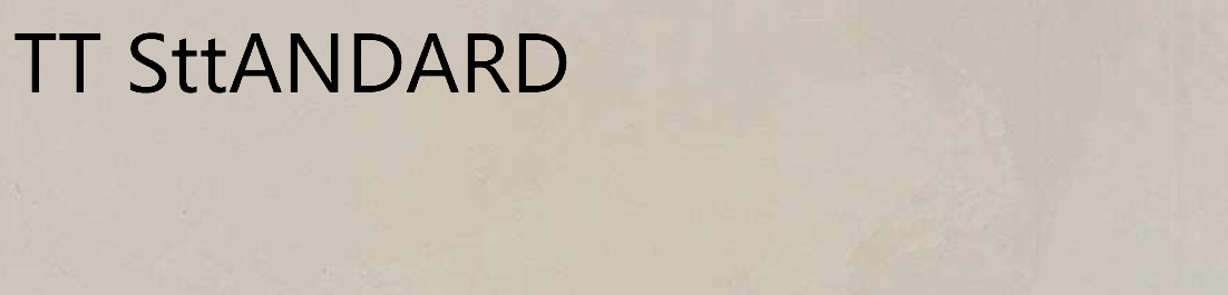 TT SttANDARD標準微水泥雙組份